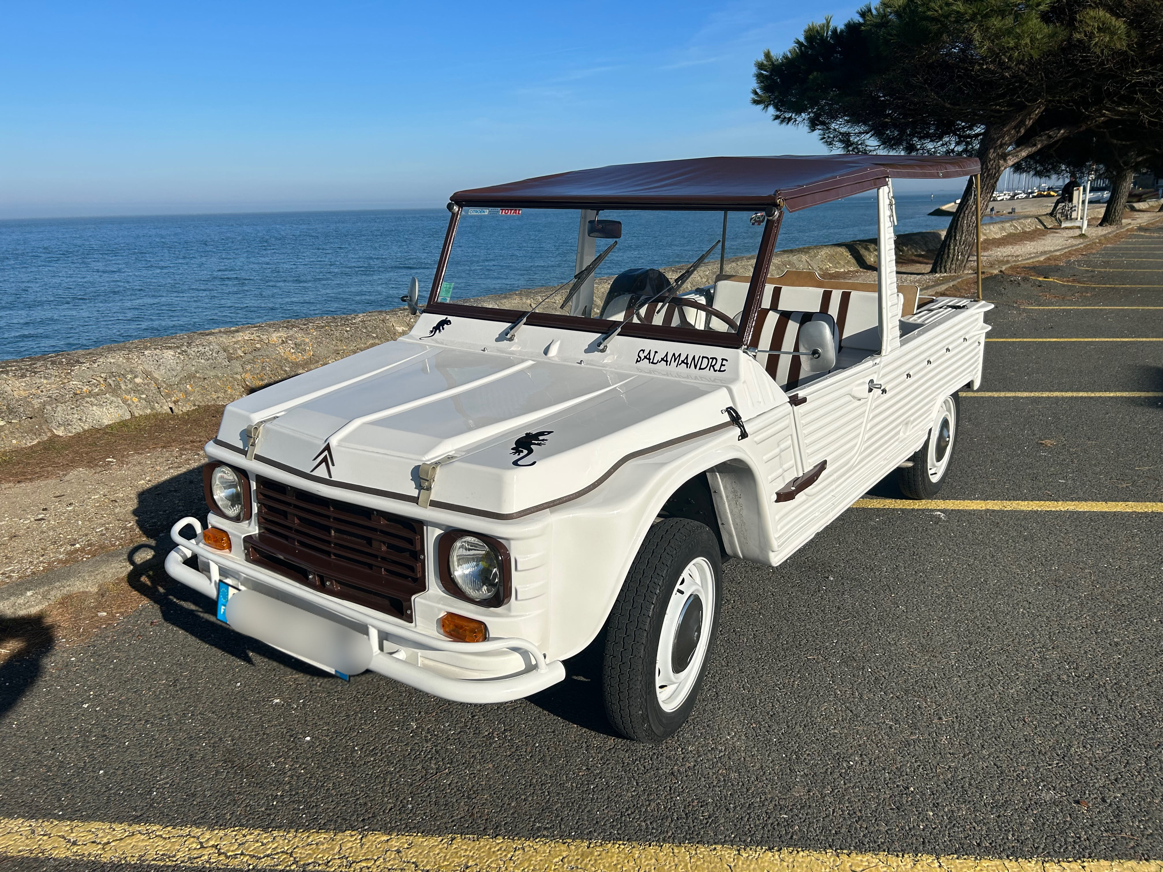 Citroen Mehari, 1979, Essence 98