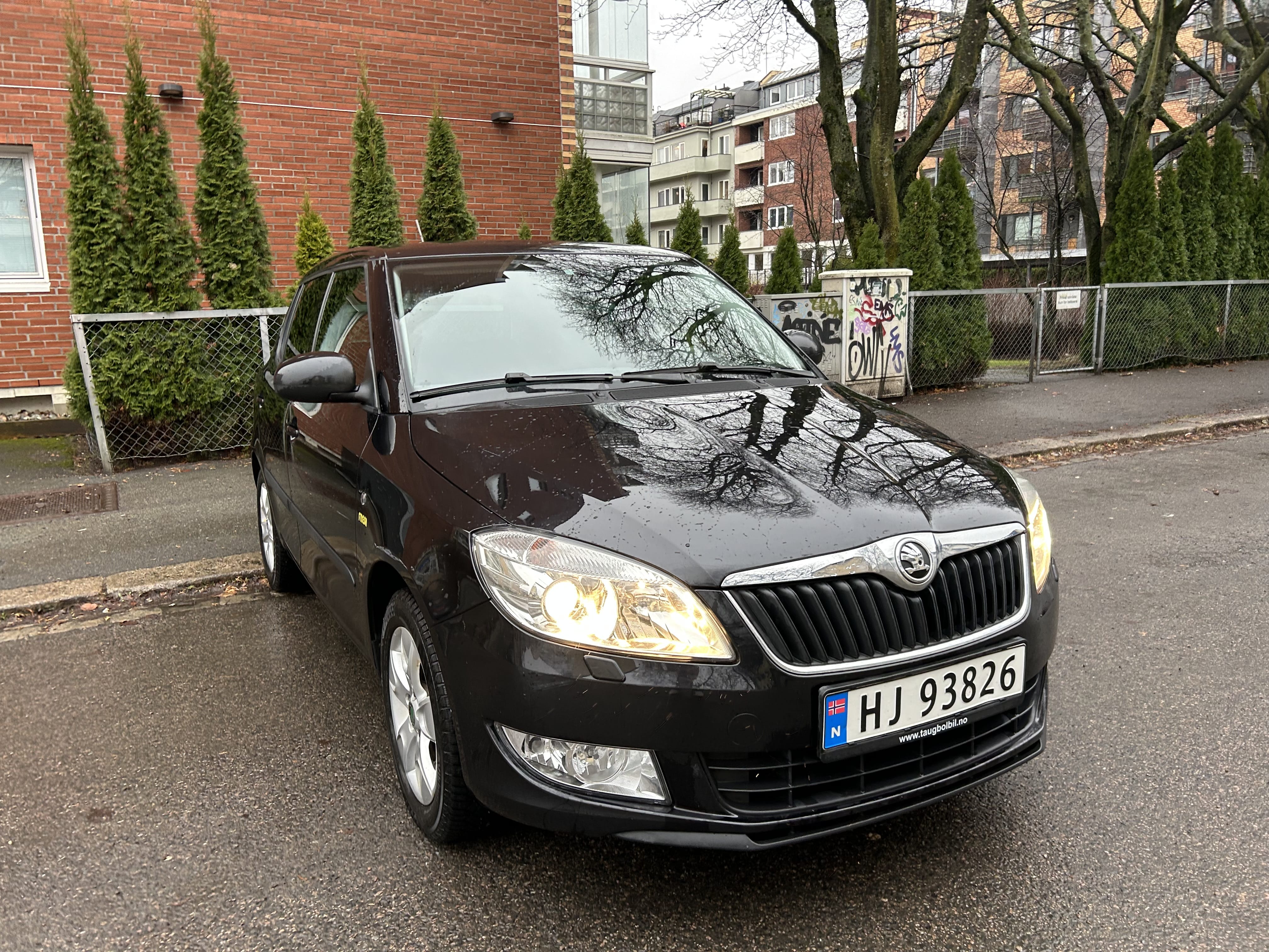 Skoda Fabia, 2013, Blyfri 95
