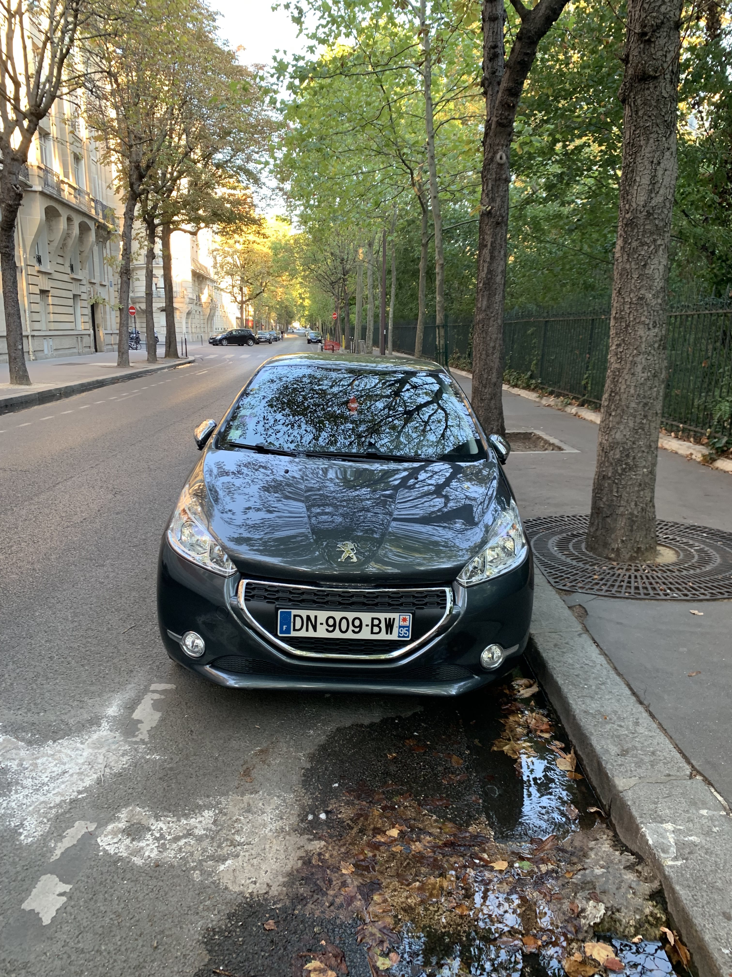 Peugeot 208, 2015, Essence 95