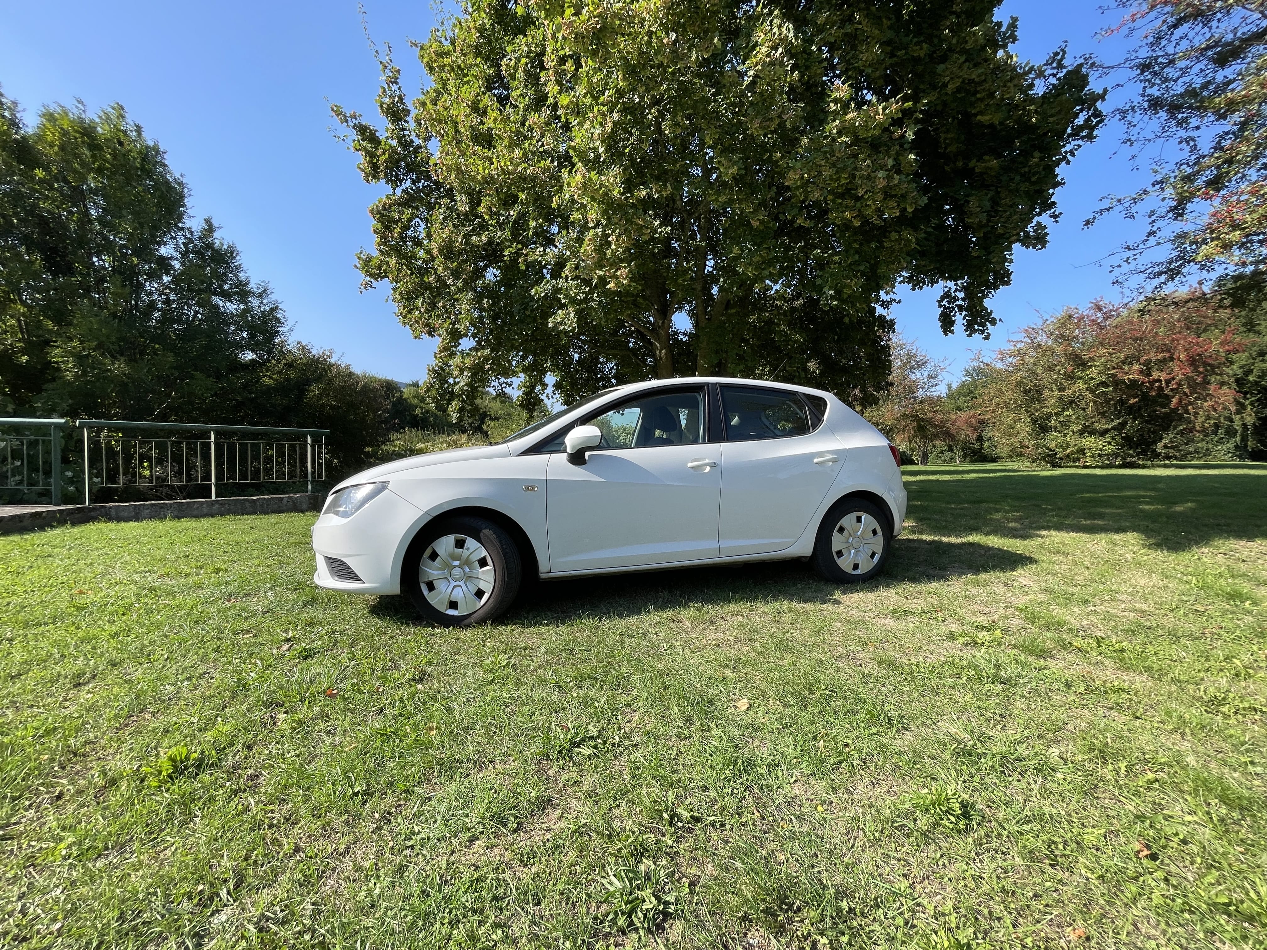 Seat Ibiza 1.2 TDI avec Climatisation