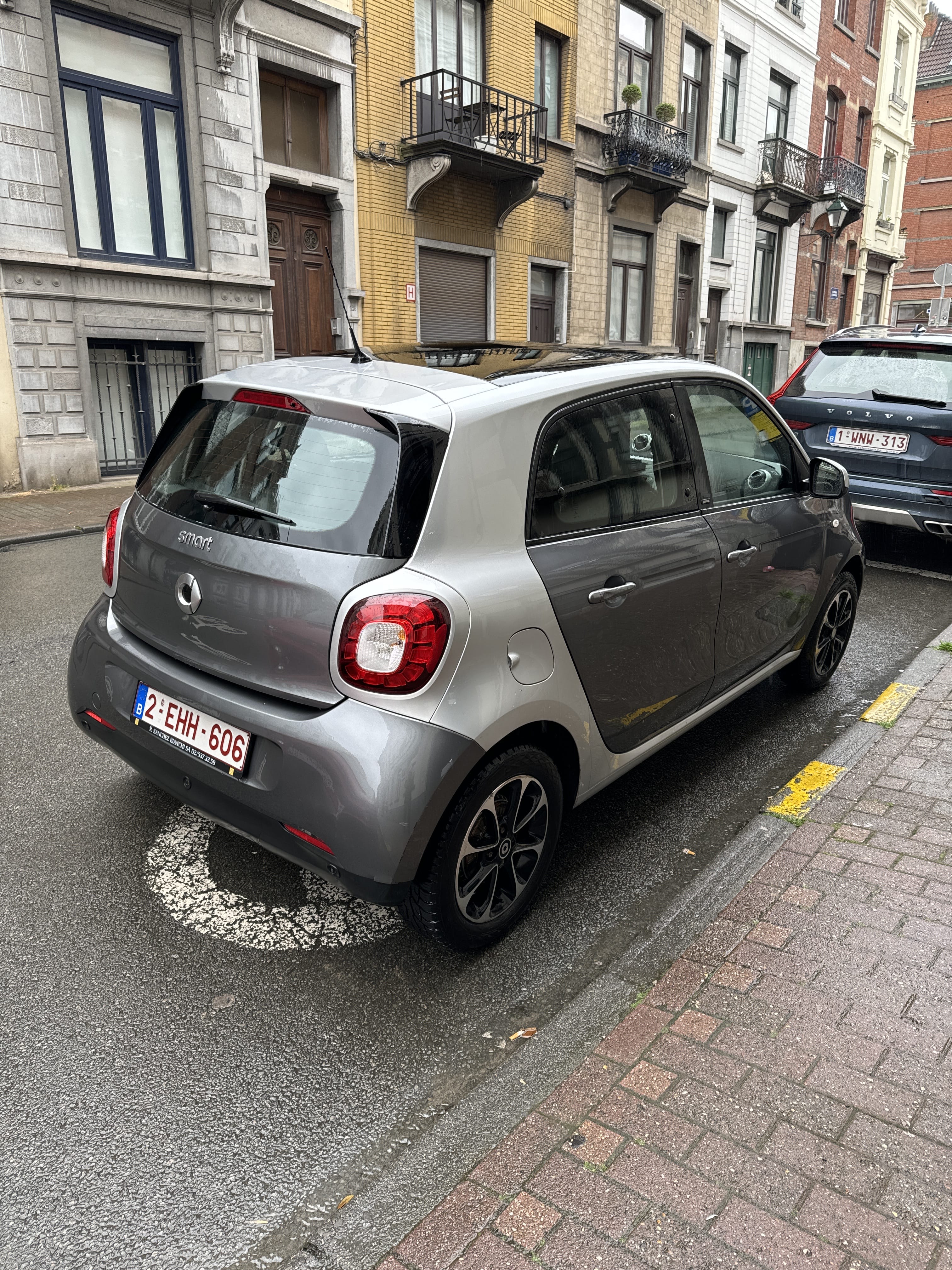 Smart Forfour met Cruise control