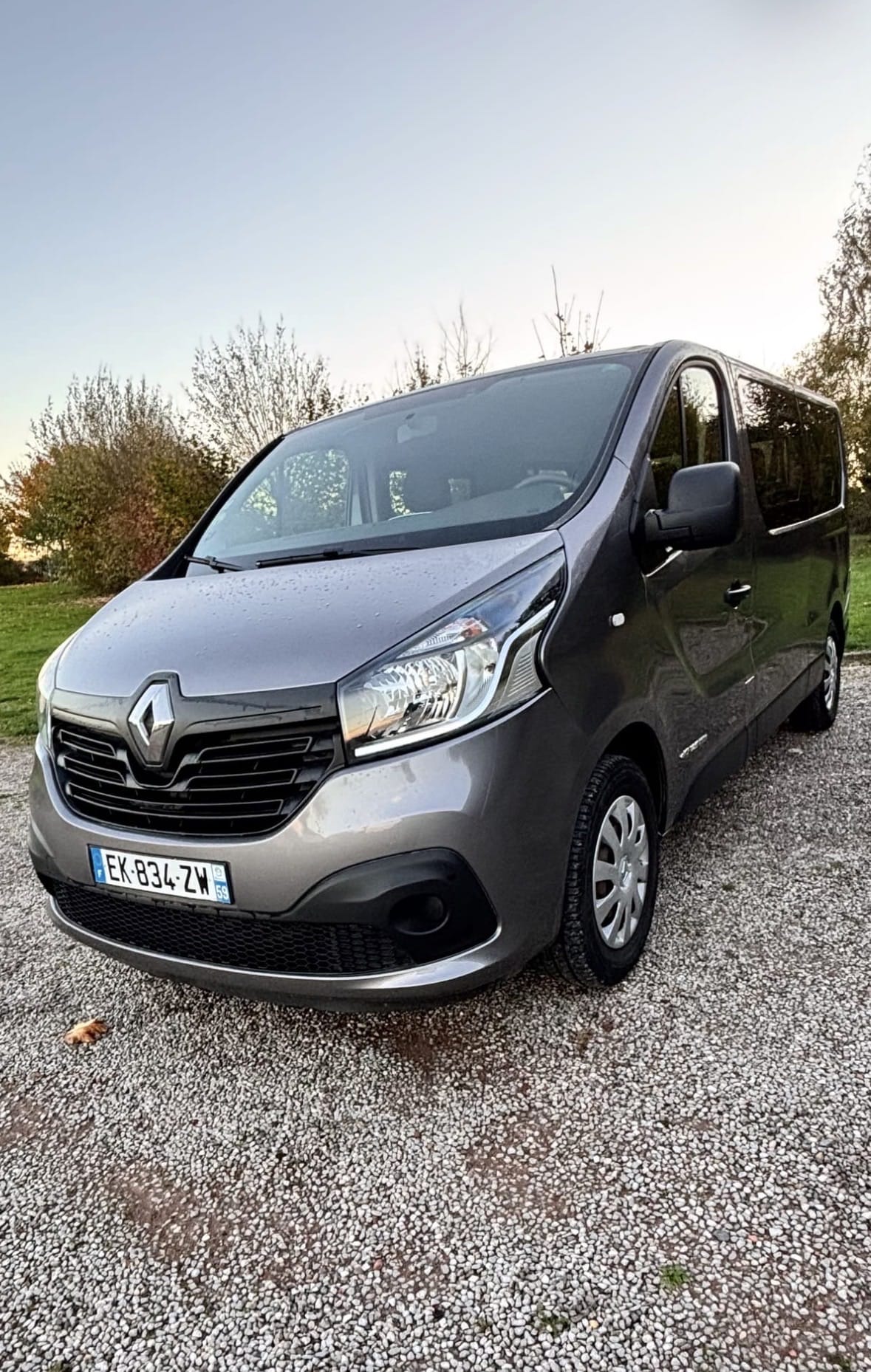 Renault Trafic, 2017, Diesel, 9 places et plus