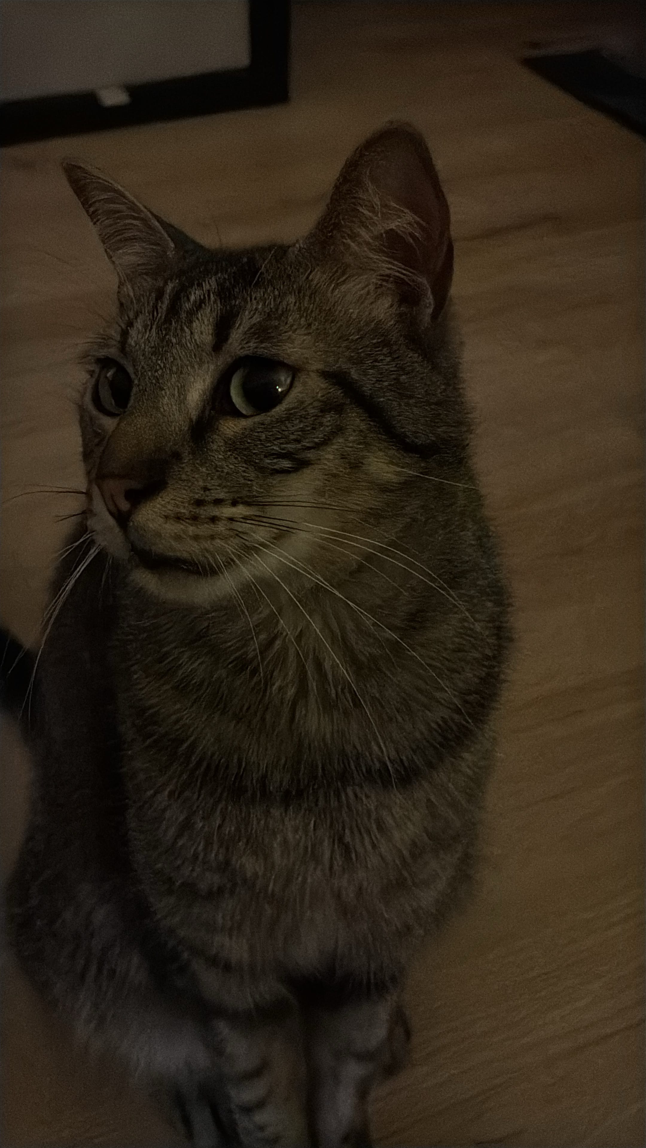 Aurélie