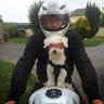 Guillaume