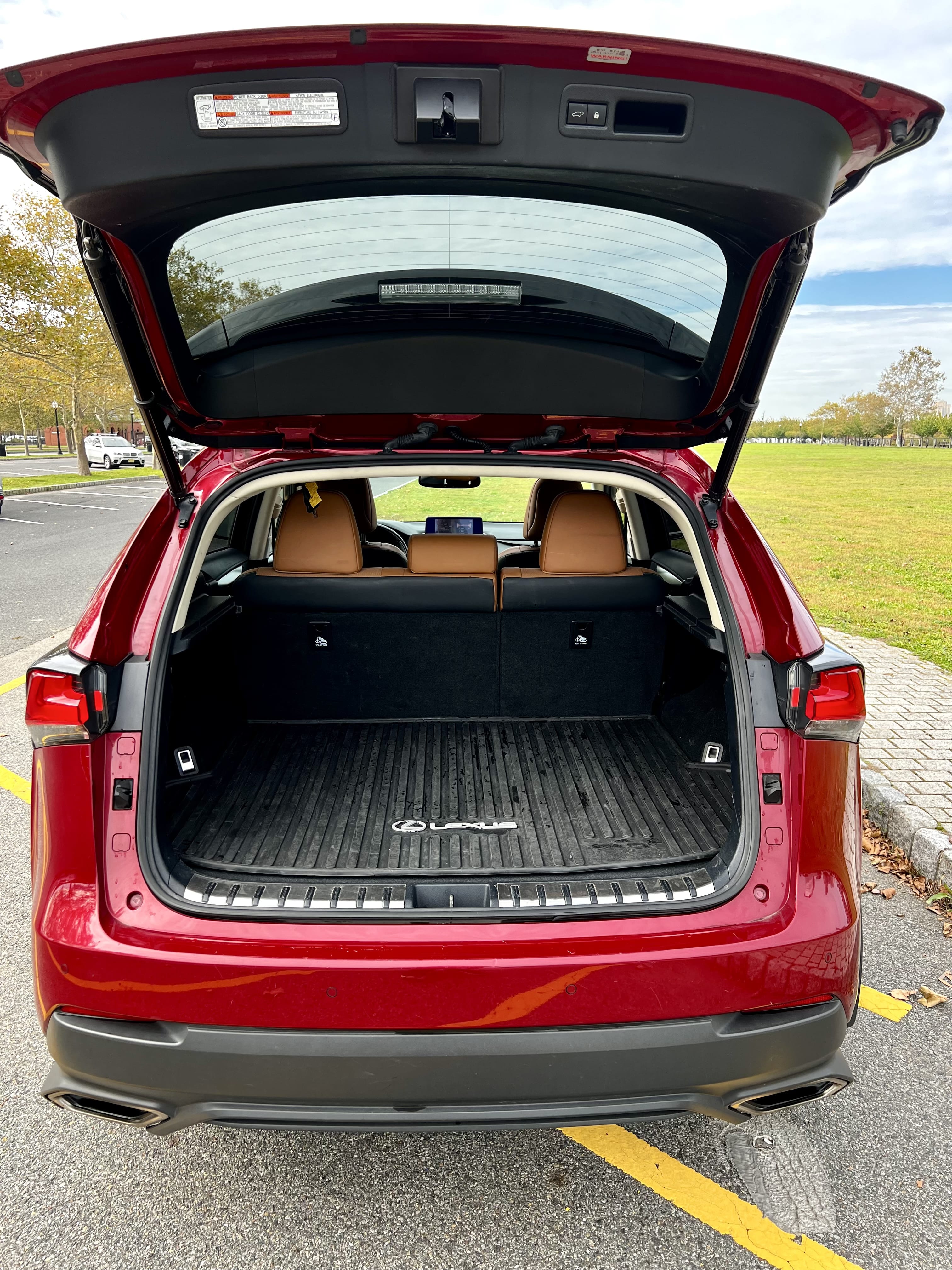 Lexus NX 300 300 with Bike rack