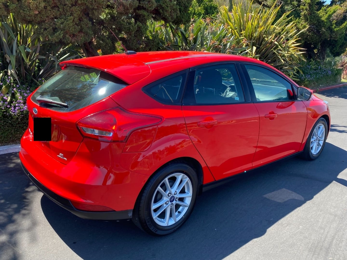 Ford Focus SE with Cruise control