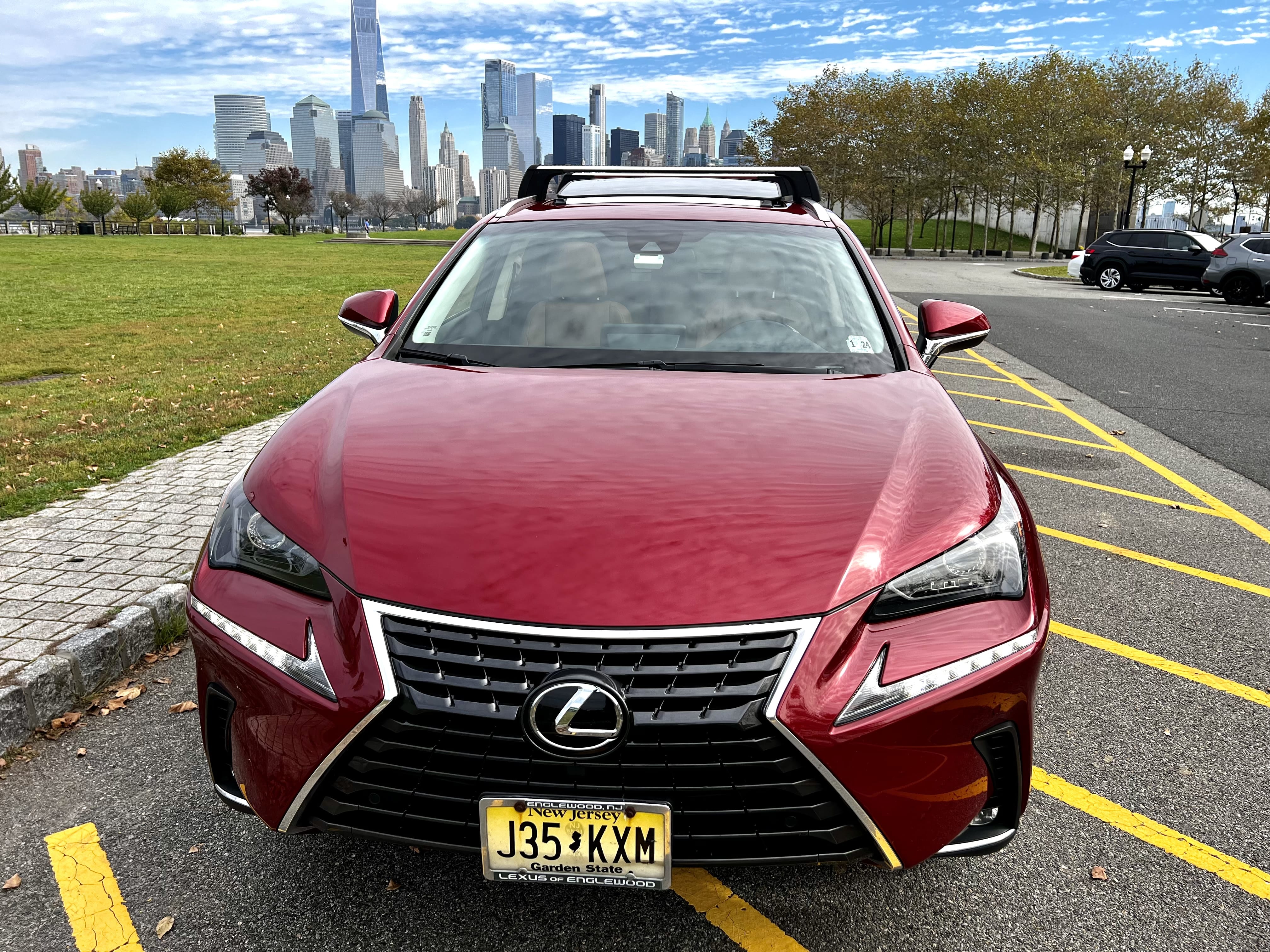 Lexus NX 300 300 with Ski racks